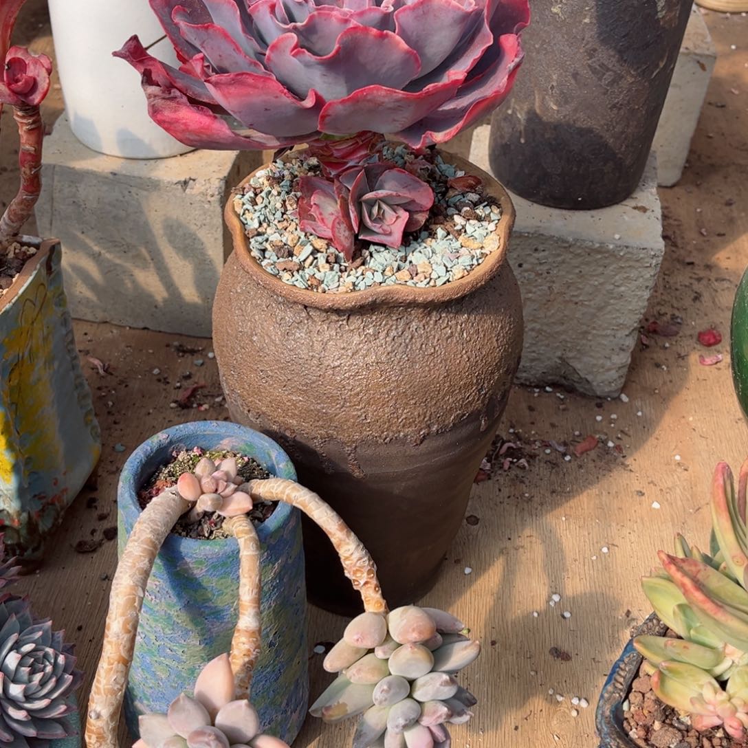 你在家等着．．我在等你