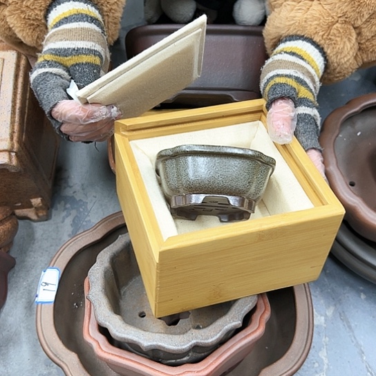 红陶紫砂花盆漂亮