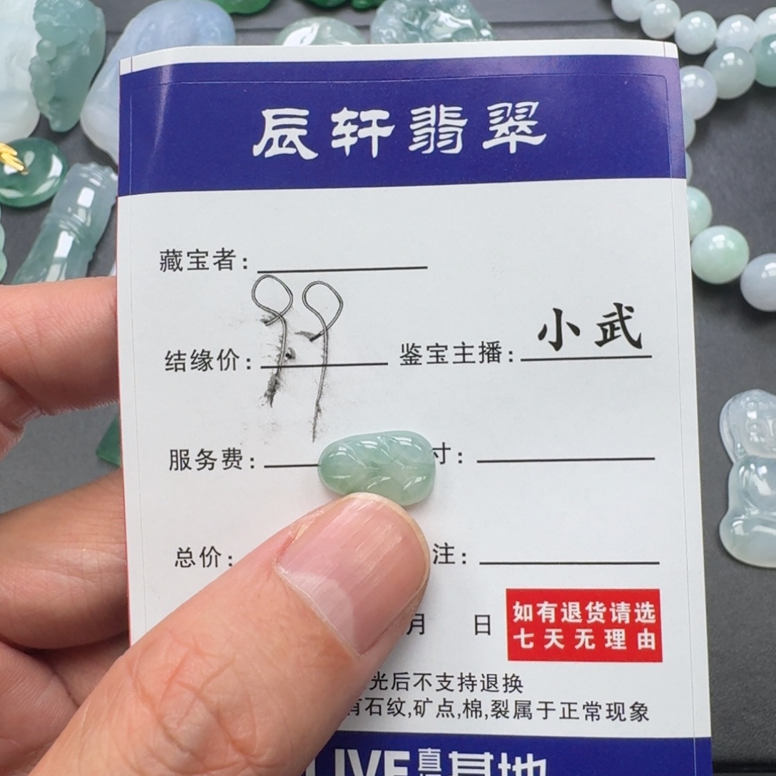 翡翠未镶嵌颈饰   51