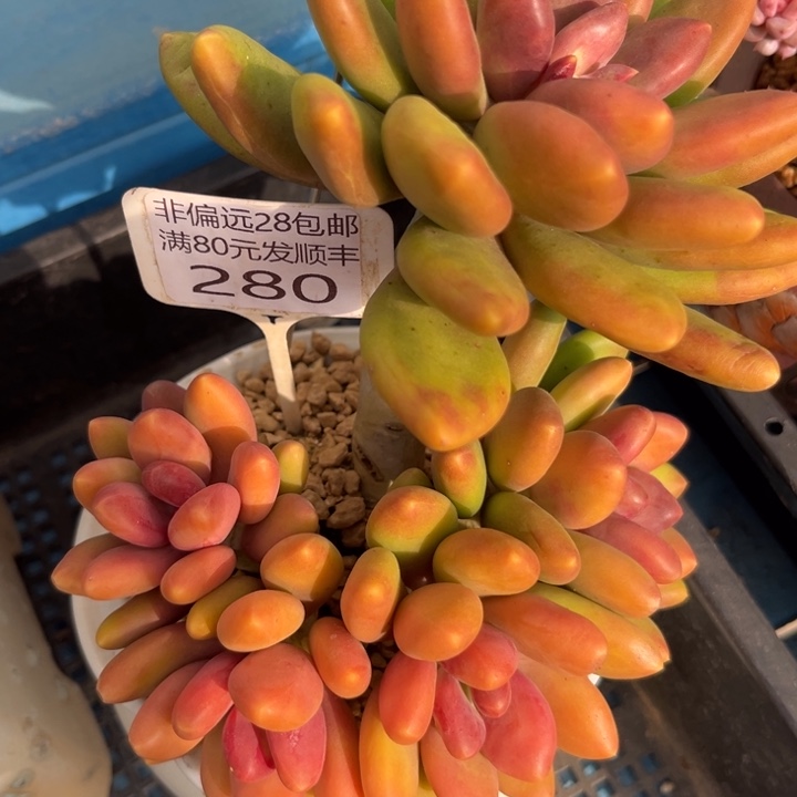 大280jjkkkkkkkkkkkkj