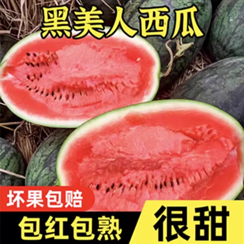 越南进口黑美人西瓜脆甜多汁水果甜西瓜精选水果当季脆甜多汁整箱