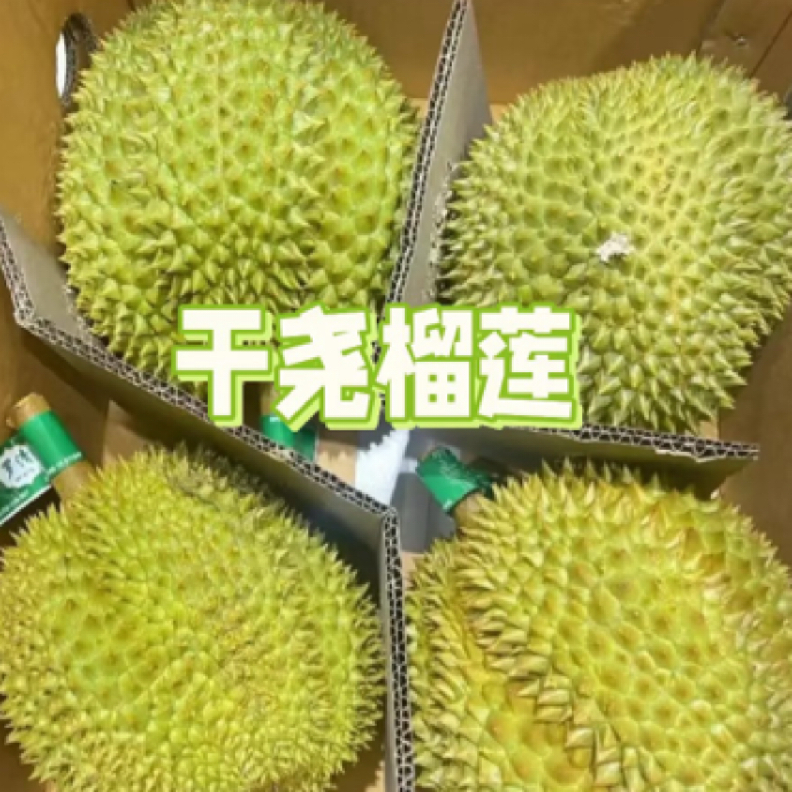 （姐妹严选）次日达新鲜干尧榴莲4粒整箱批发14-16斤顺丰包邮(核大)干尧越南社会主义共和国