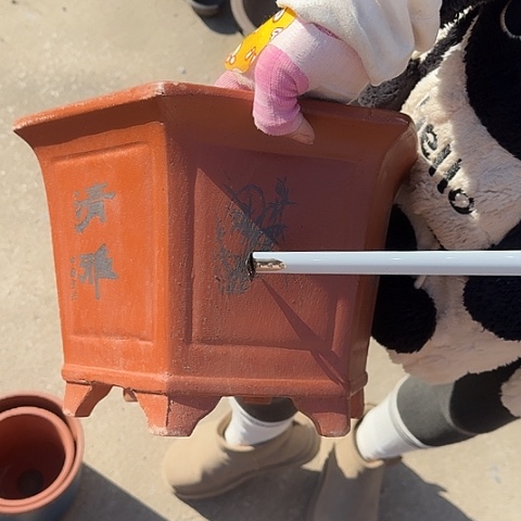 紫砂清雅红六方32