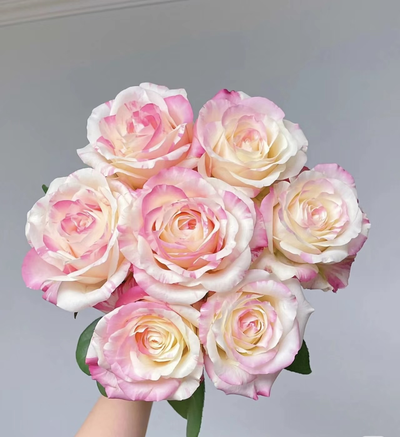 【霓裳单头玫瑰】任意两单及两单以上鲜花顺丰冷链包邮发货