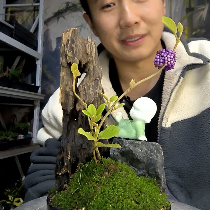 启***术中青园艺一物一拍花200