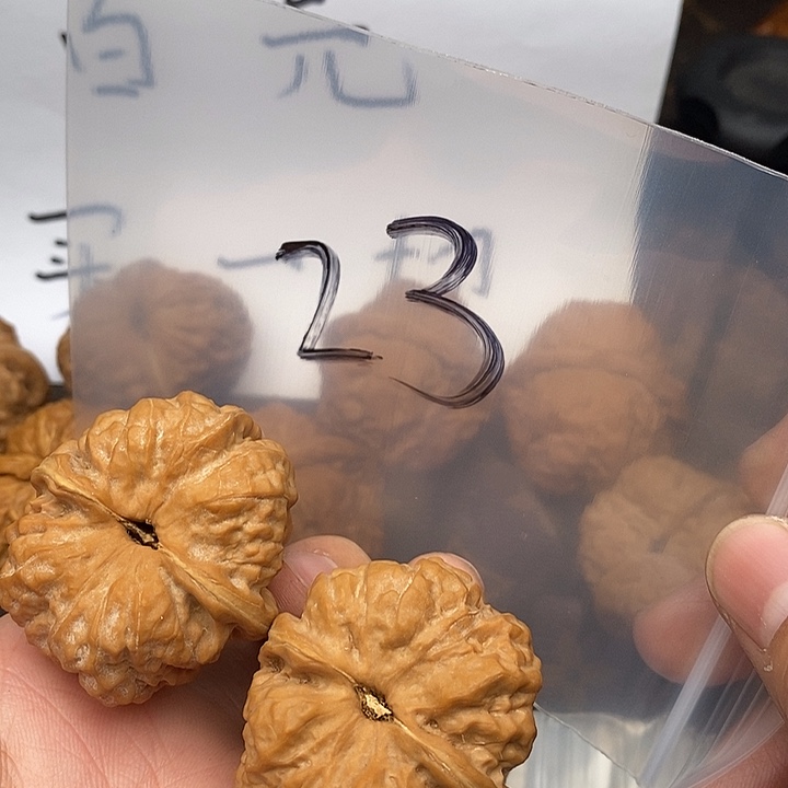 吊坠文玩核桃75675637553735773