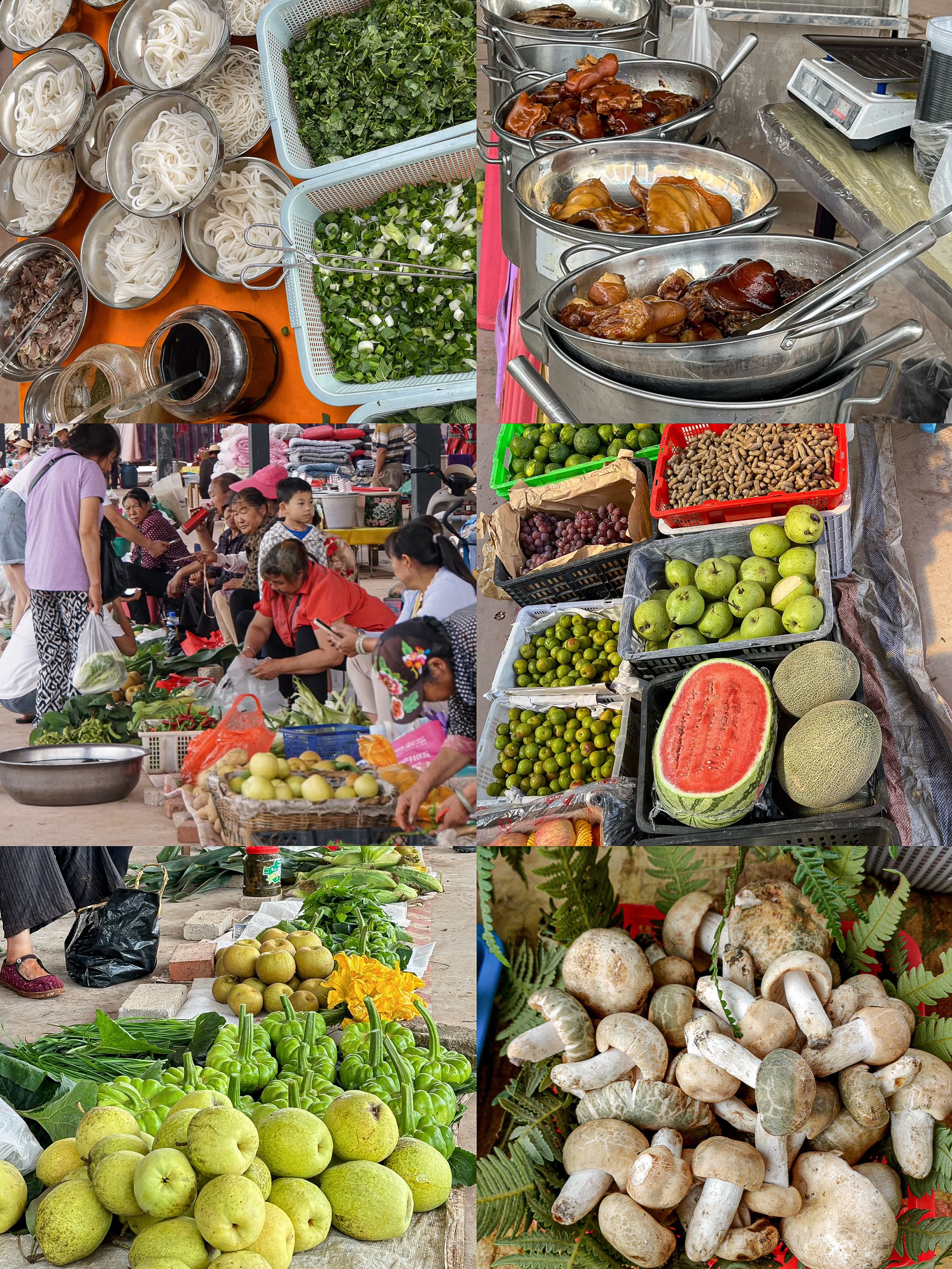 【阿秋缅甸探险】2号山菌菇（代拍连接所见即所得）稳定渠道发货保证