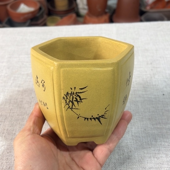 【闪购商品】内扣9内高9.5