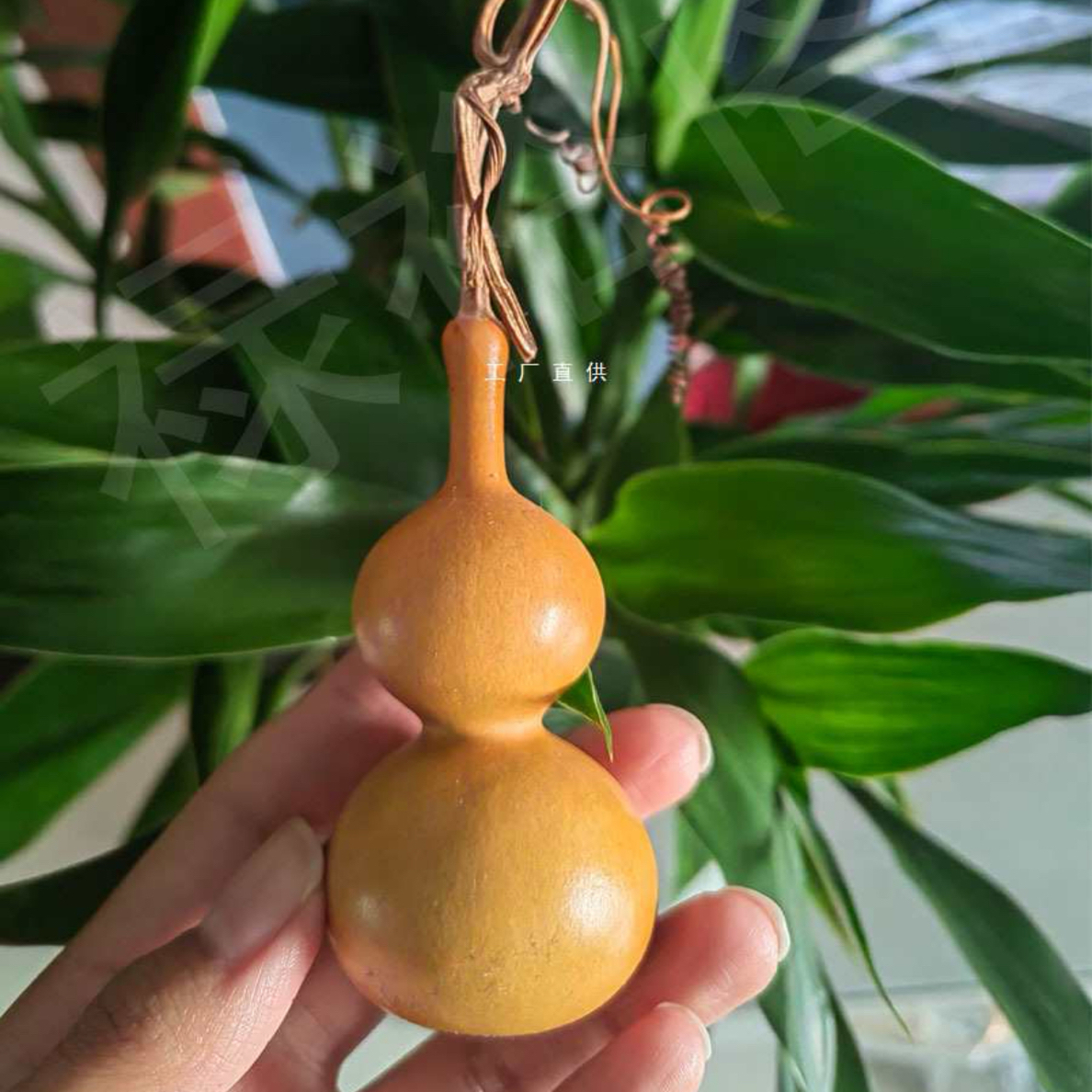 天然小葫芦文玩直播间一物一拍（私自下单  随机发货）三号链接