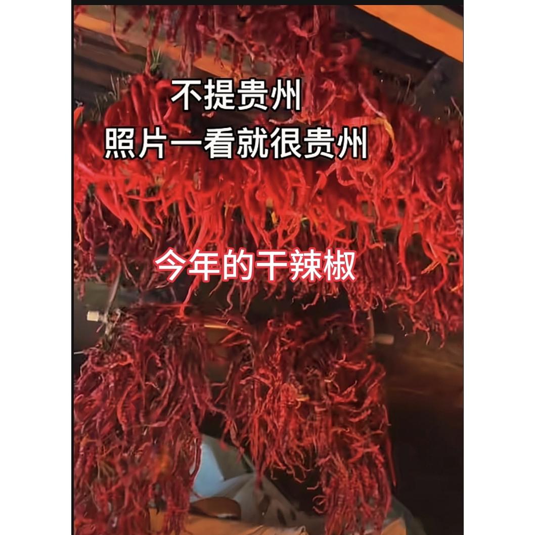 贵州特产贵州皱皮辣椒干辣椒炒菜辣椒优质辣椒丘北辣椒红辣椒