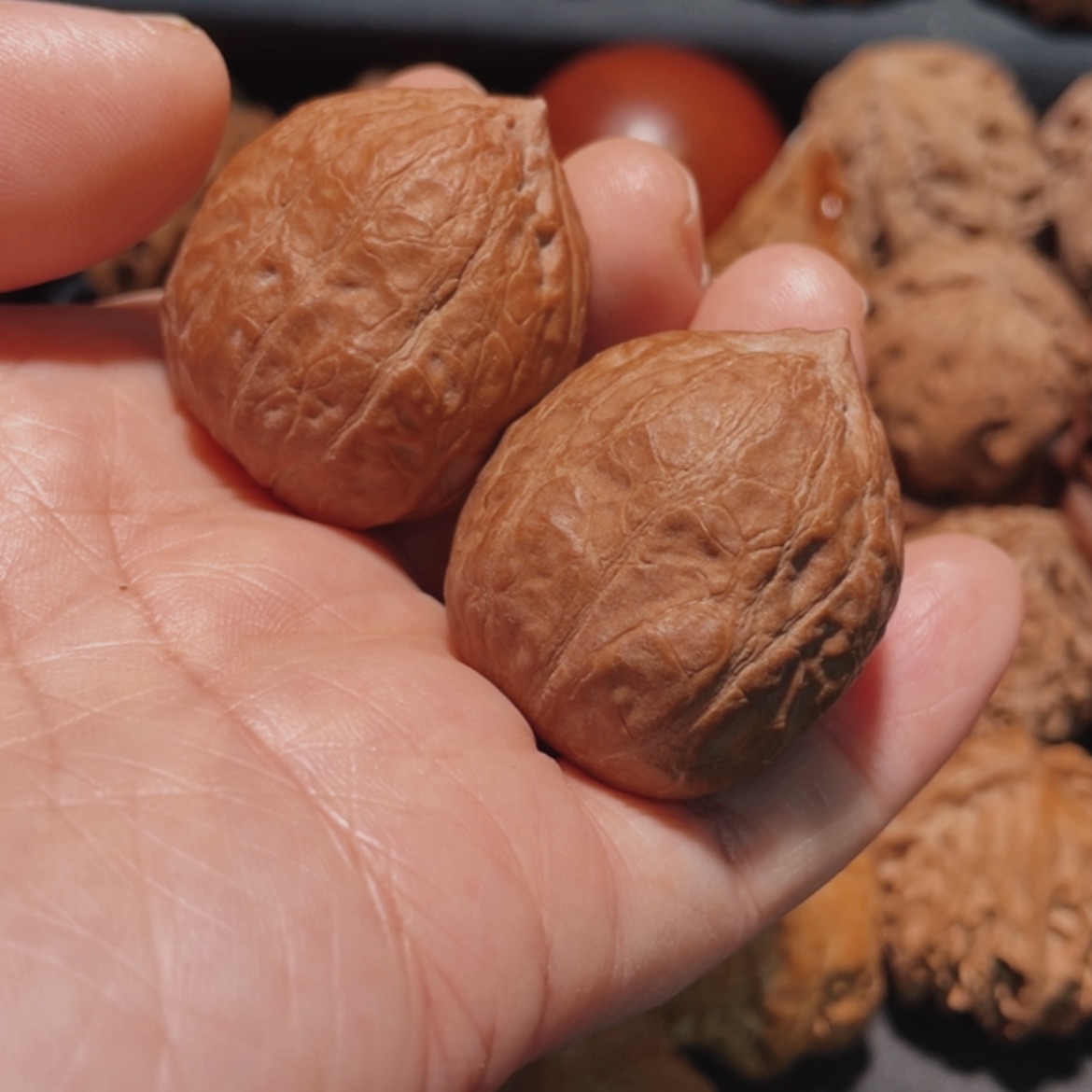 【闪购商品】把件文玩核桃东北楸子9