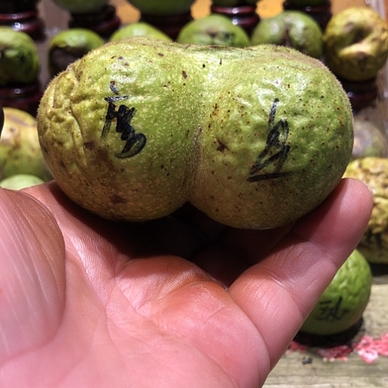吊坠桃核核桃核桃