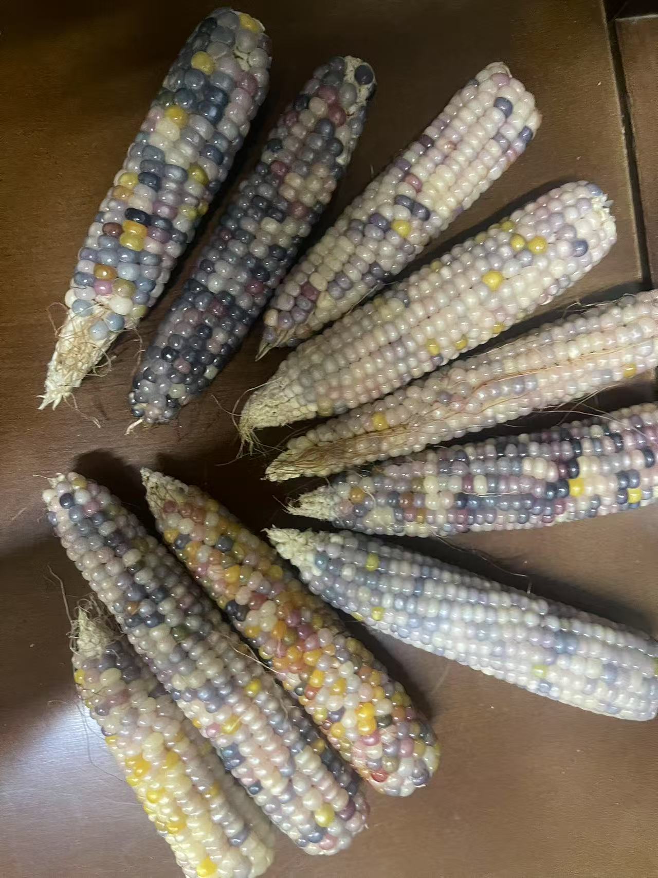 文玩玉米宝石宝血瑕疵补粒款颜色桩型随机发