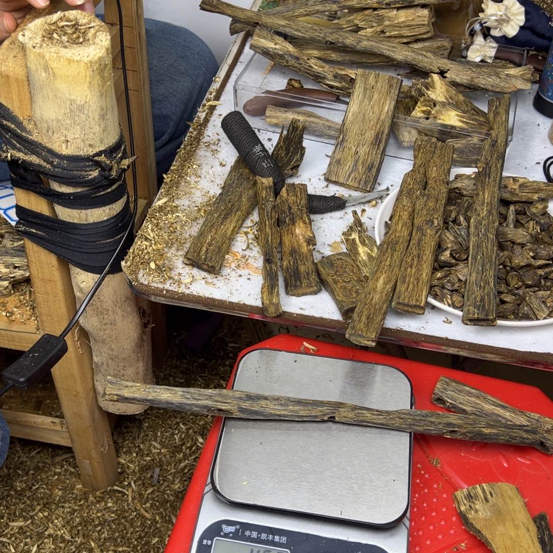 线香奇楠虫漏香45克