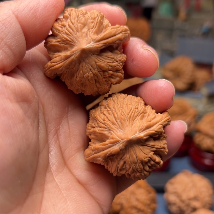 核桃40虎头虎头虎头