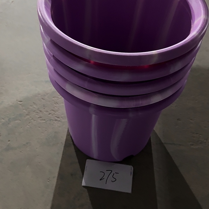 编号275串色5个无托32