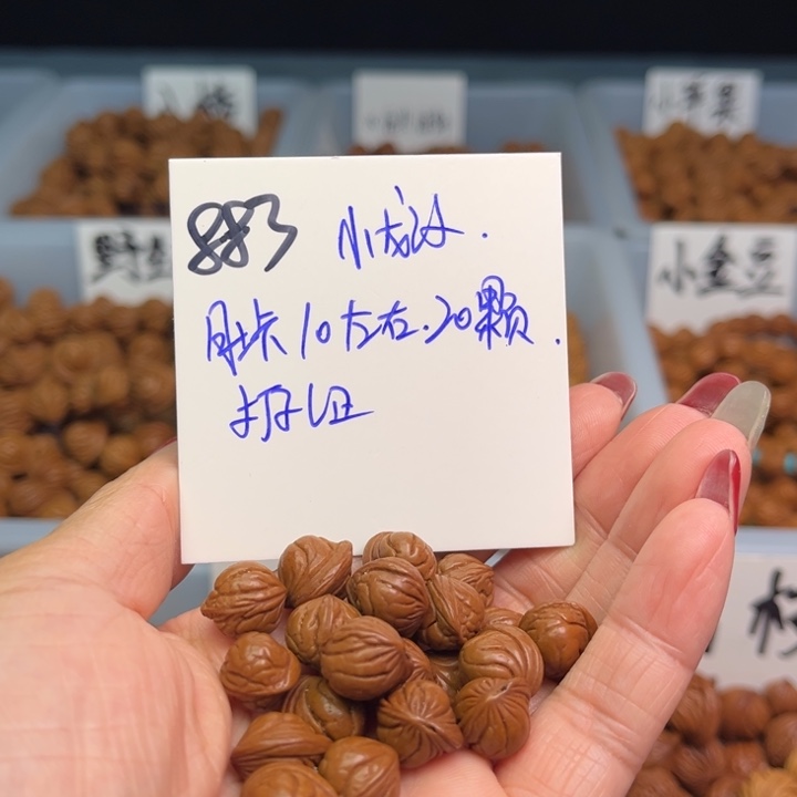 桃核把件小龙纹10尺寸