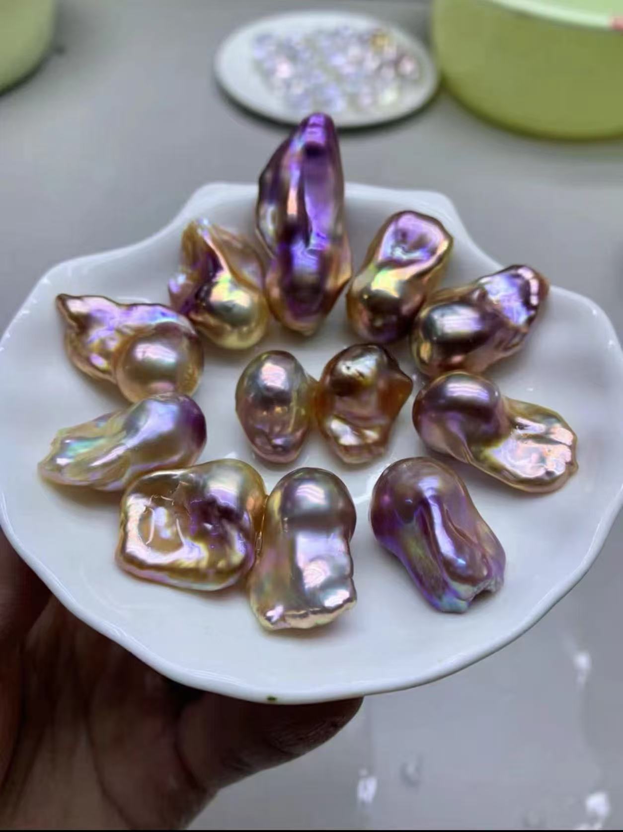 妖紫巴洛克 活体一个蚌可定制不退不换