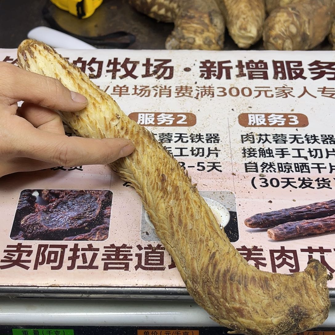 中国大陆280克31厘米