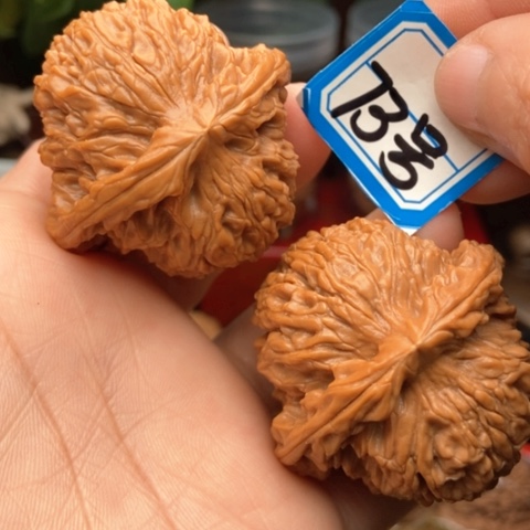 文玩核桃吊坠南疆44.5全品