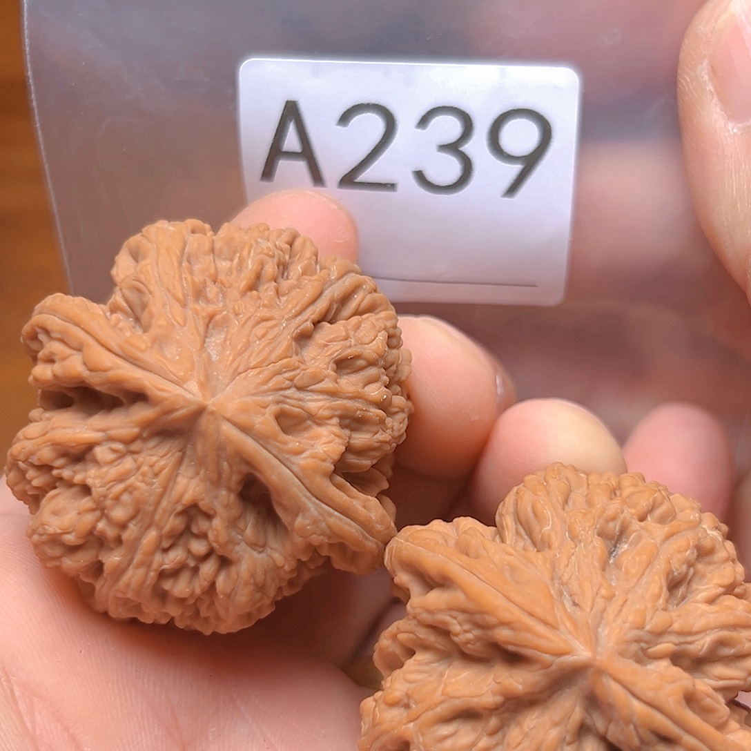 文玩核桃吊坠45➕大粗筋