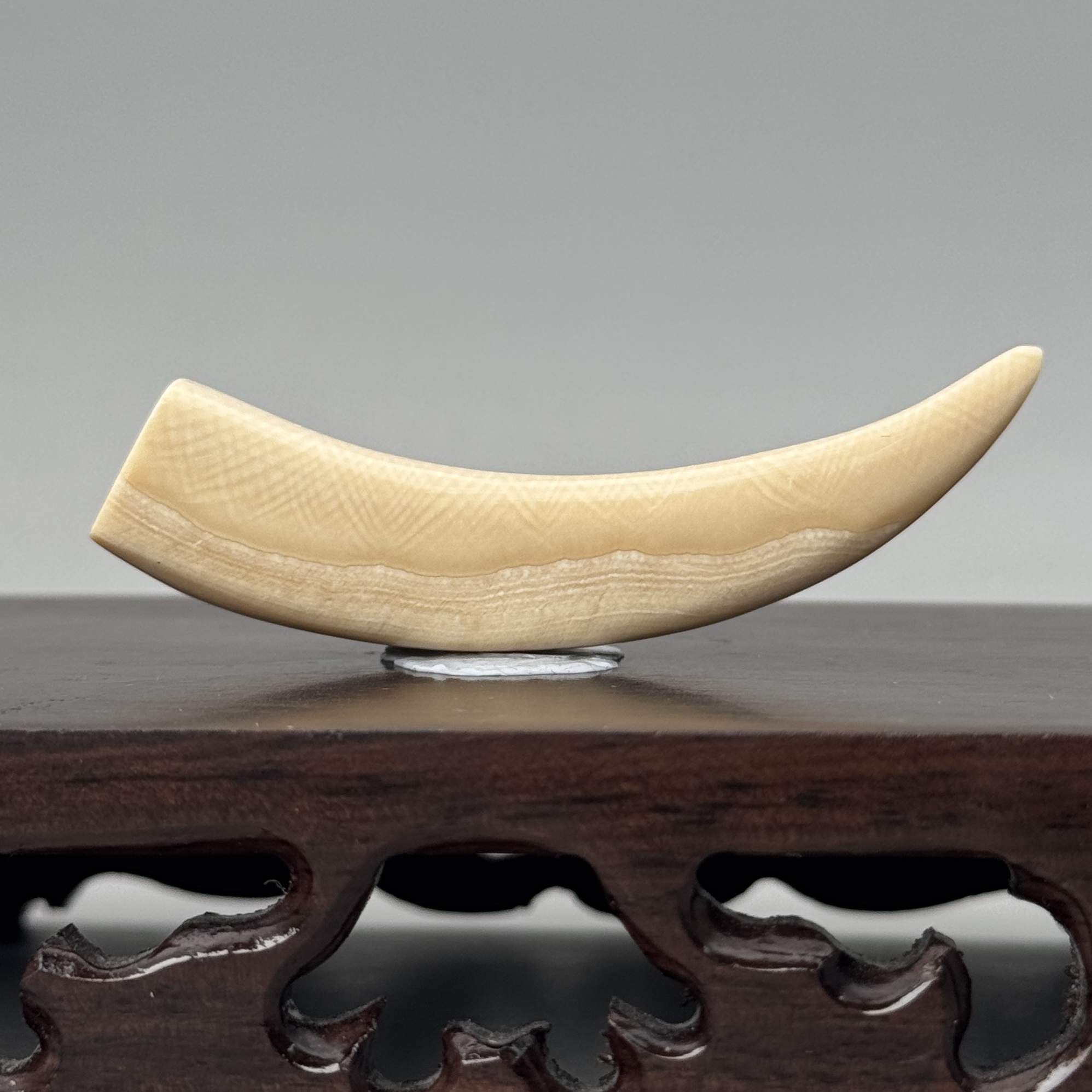 DEZHI/德志65*12*13mm10g牙尖吊坠天然猛犸牙C140