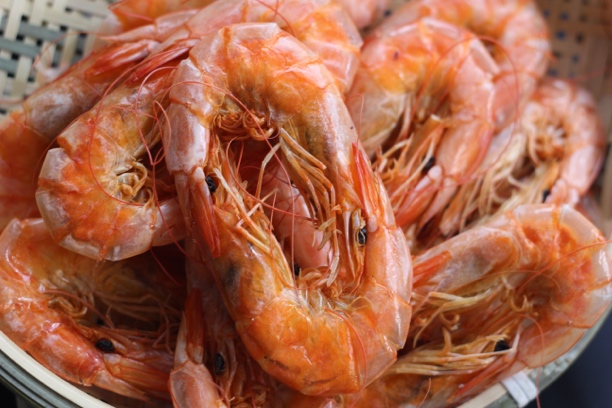 干货超大海鲜即食大虾烤虾干对虾干海鲜