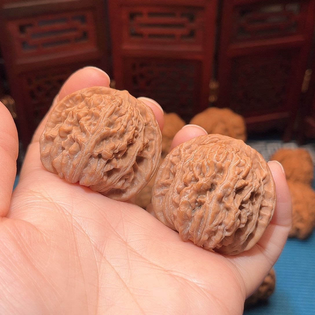 41全品四座楼……福利