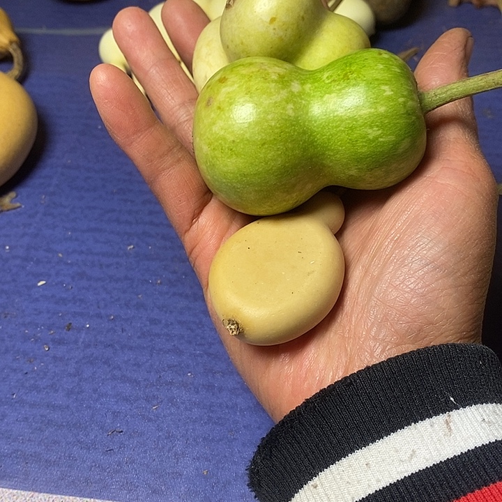荣***哥葫芦青皮葫芦手把件