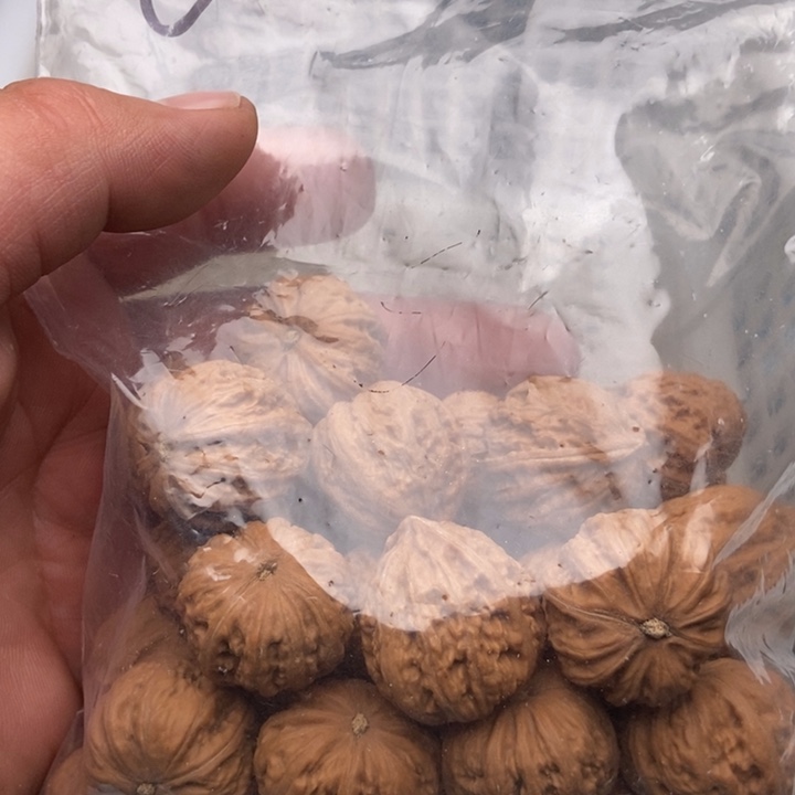 30粒定制打孔，定制商品不退不换
