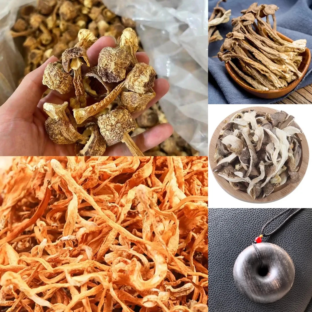 【土特产菌/阿龙专属202】重量36g