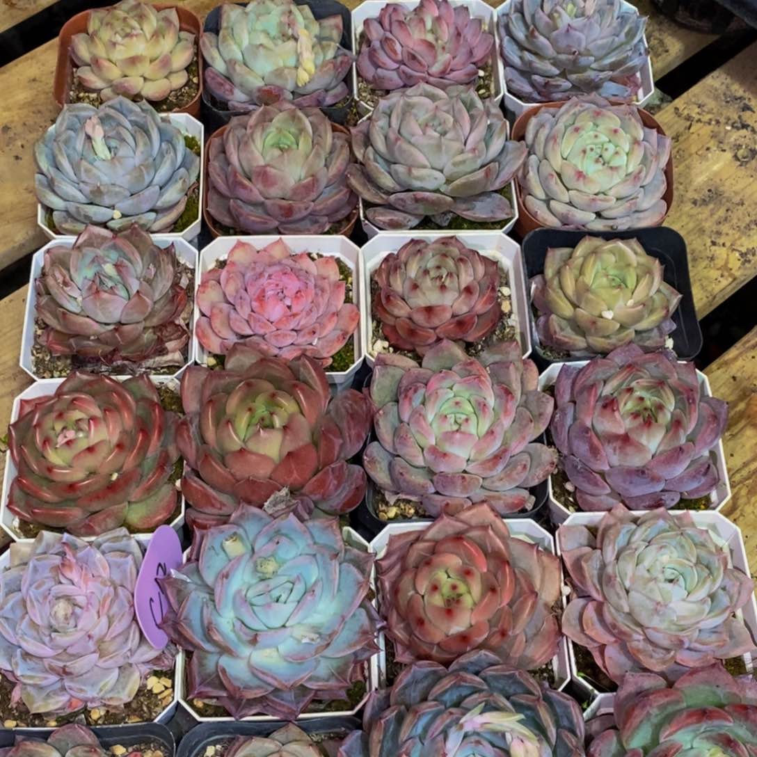 846的人生态度是一种