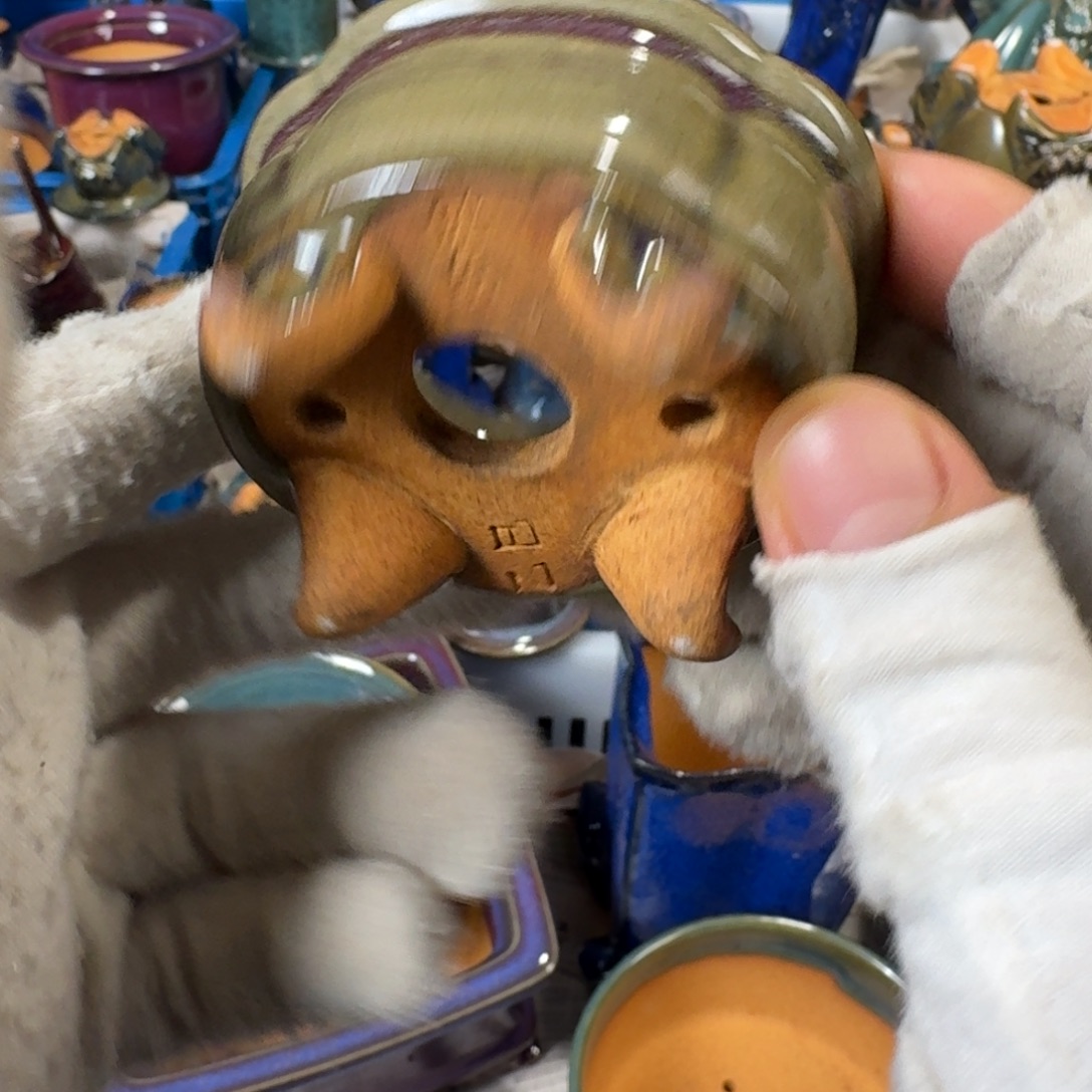 觉象花盆觉象花盆