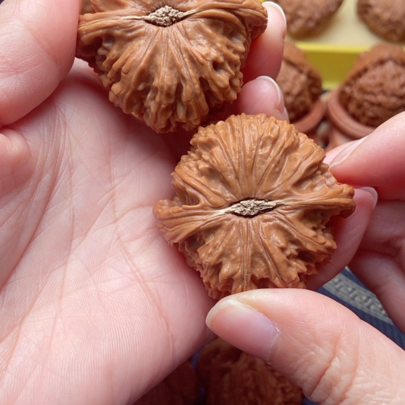 【闪购商品】文玩核桃把件白狮子