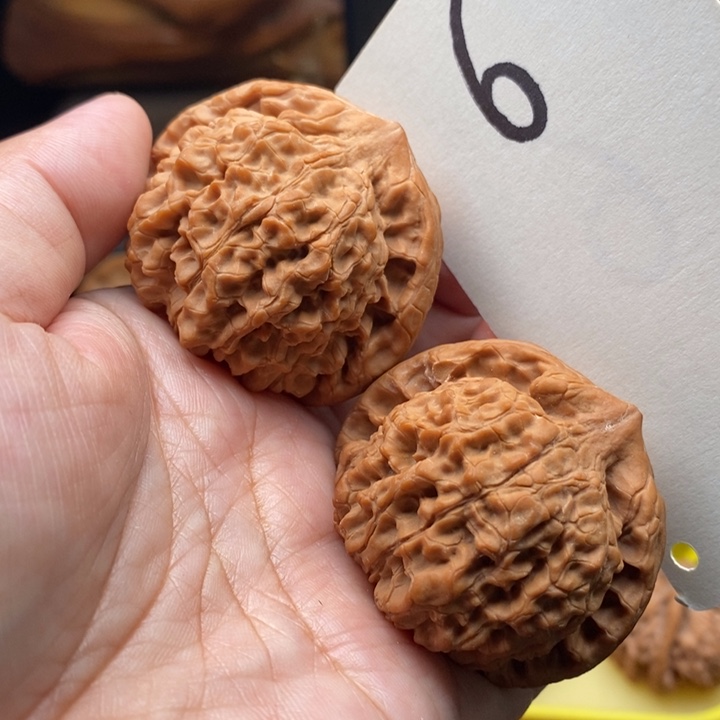 文玩核桃把件官帽46尺