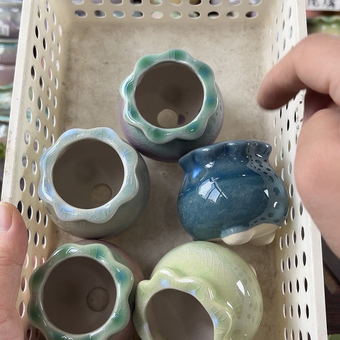 量货/口4-6高深浅搭配发6个