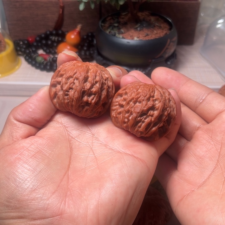 追****磨盘磨盘磨盘磨盘磨盘磨盘