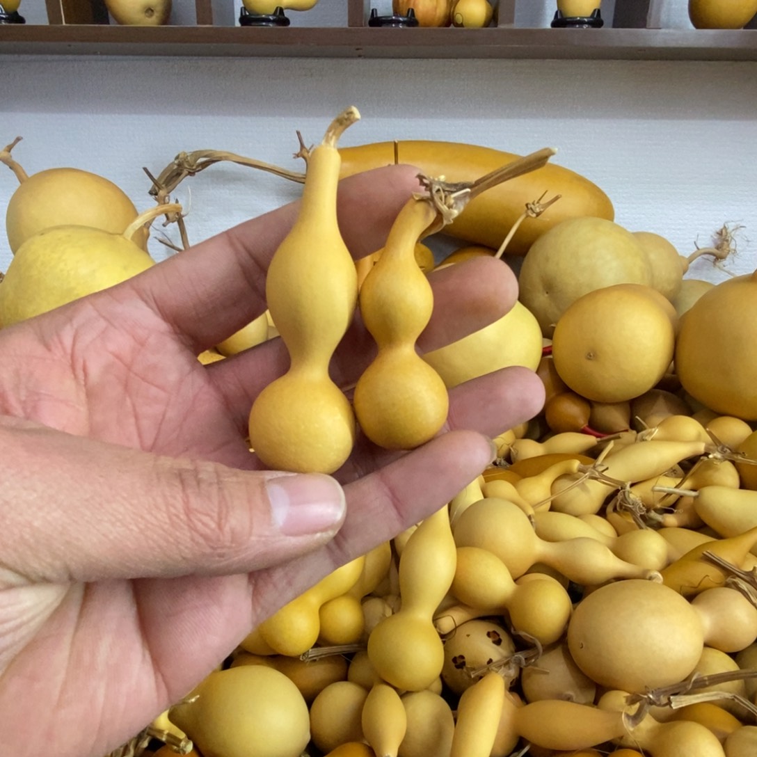 苏****直播间链接，文玩葫芦