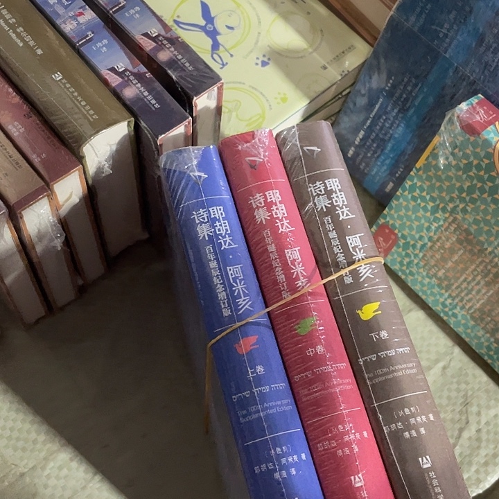 耶胡达阿米亥微瑕微瑕10