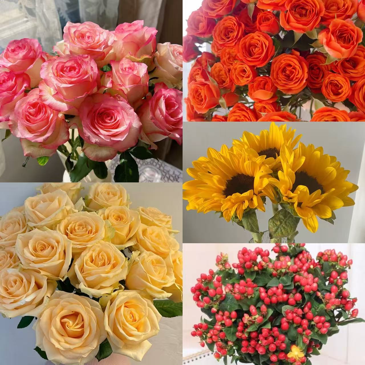 【艾莎香槟橙芭比向日葵组合】家庭插花客厅水养鲜花 云南基地直发