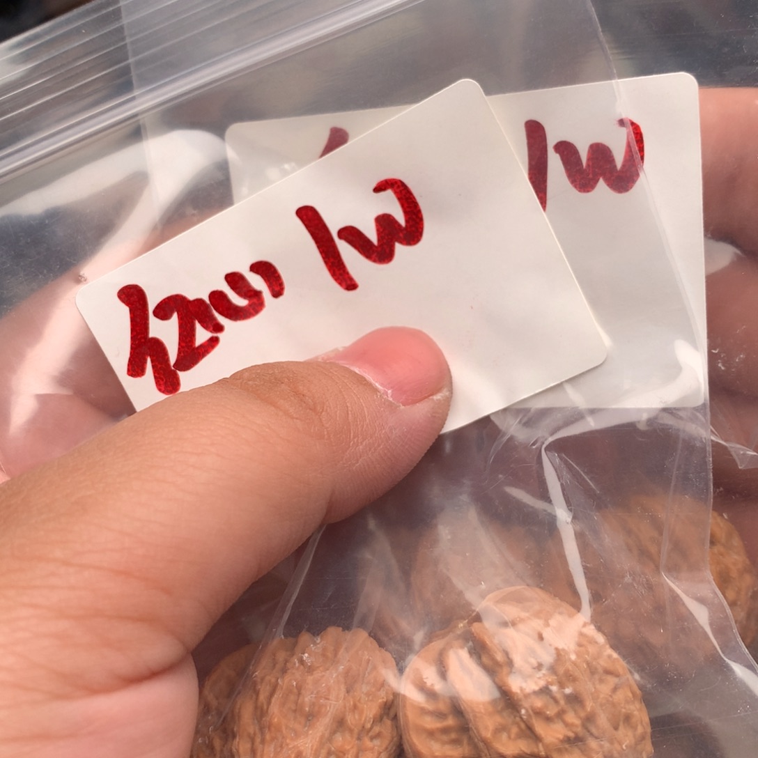 文玩核桃把件红心1w.........