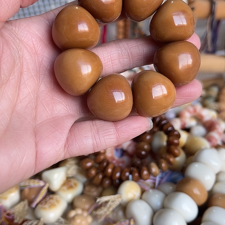 香榧木11111111111