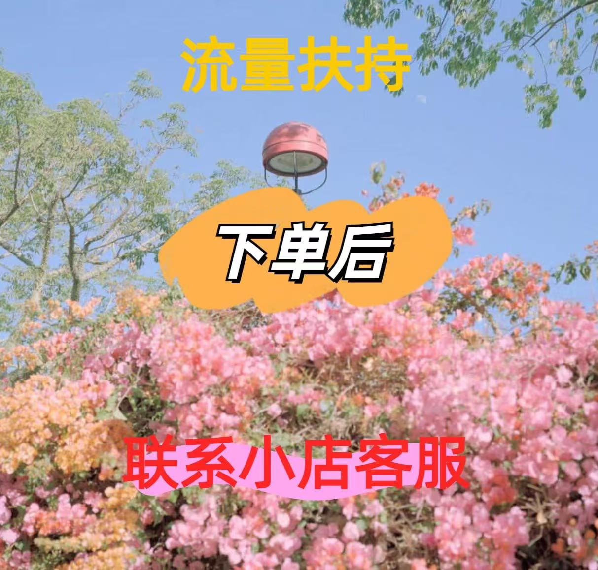 海外仓【下单联系客服】零基础1对接1，傻瓜式操作 简单易学