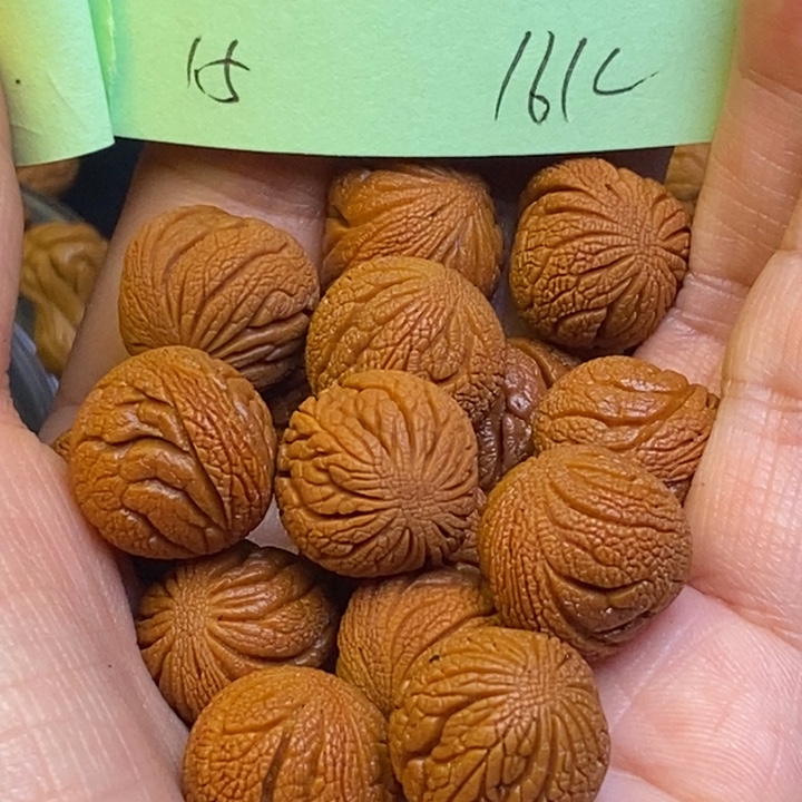 桃核吊坠秦岭龙纹桃核1