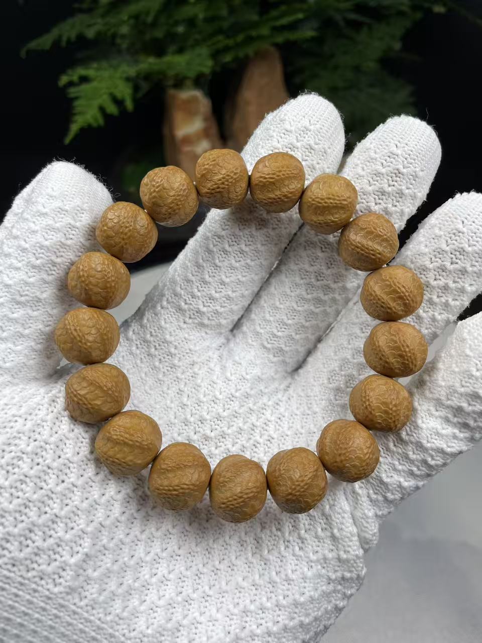 「云皓文玩」毕业级猴头核桃灵蛇14mm