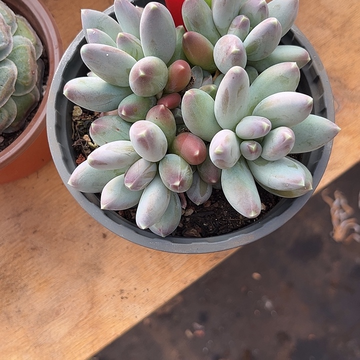 故***辞000000000000000002151