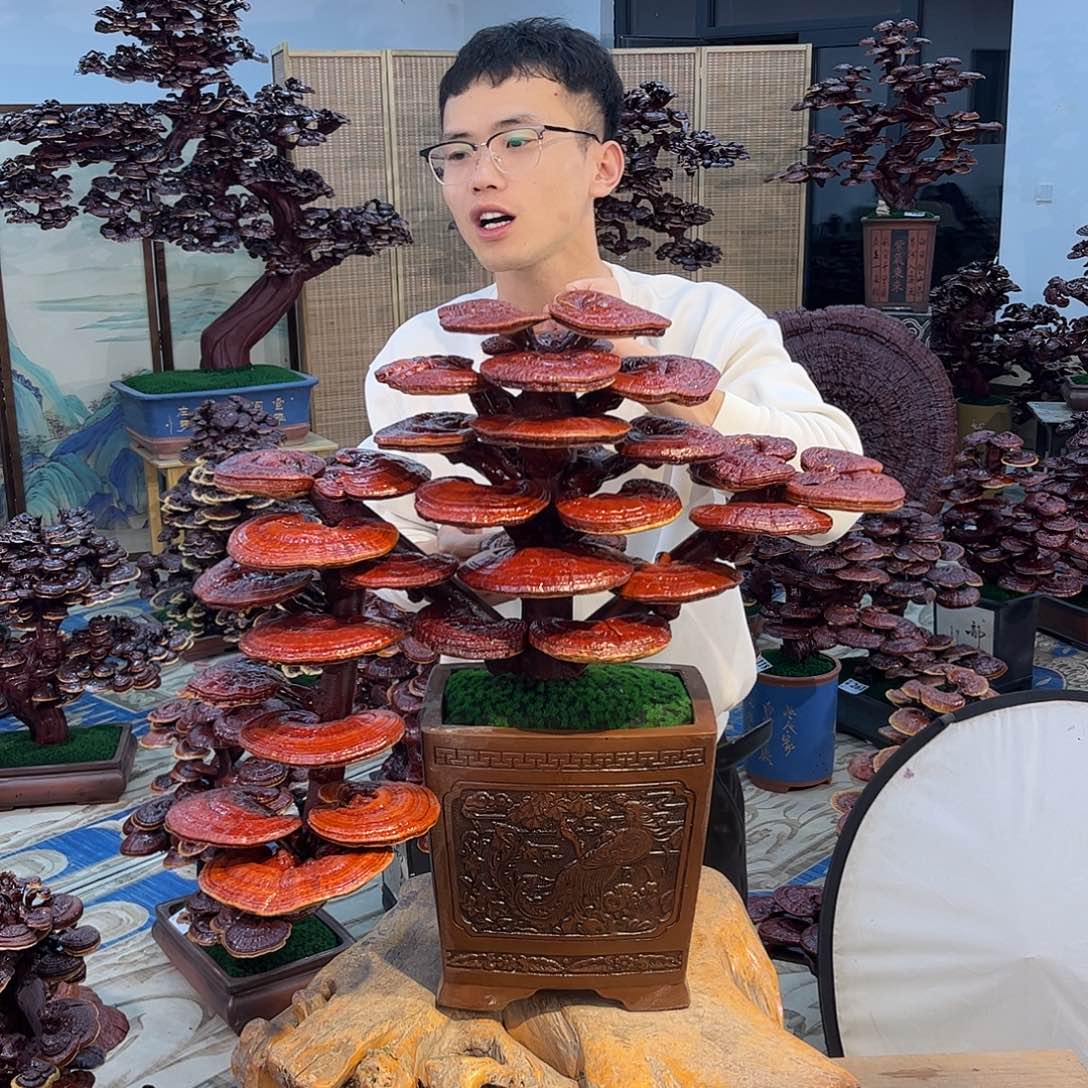 588888888888888888888