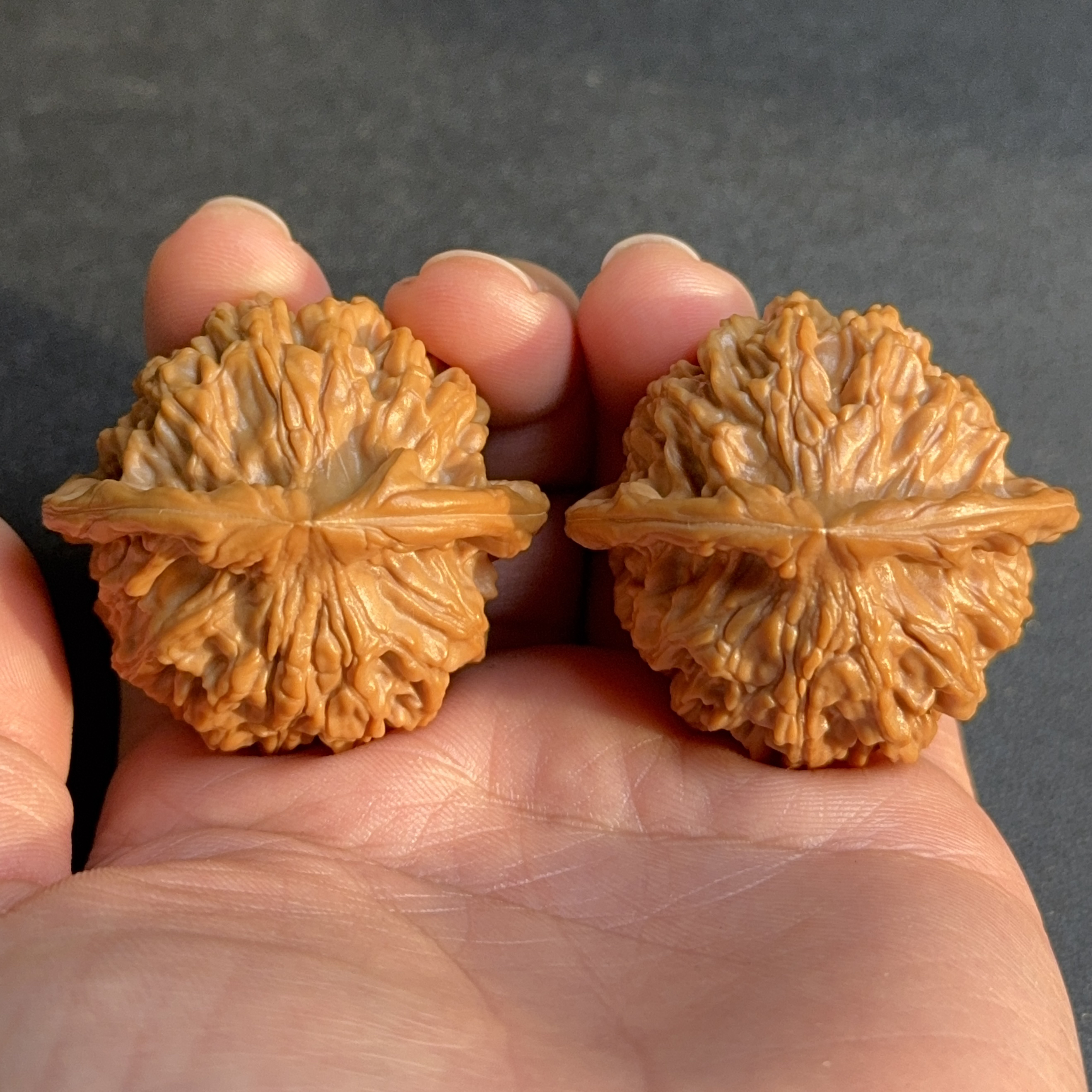 天地狮子头42尺A639二爷帽文玩核桃麻核桃手盘