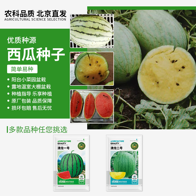 【农科院推荐】红黄壤小西瓜种子小吊瓜种子蔬菜种子阳台四季西瓜籽