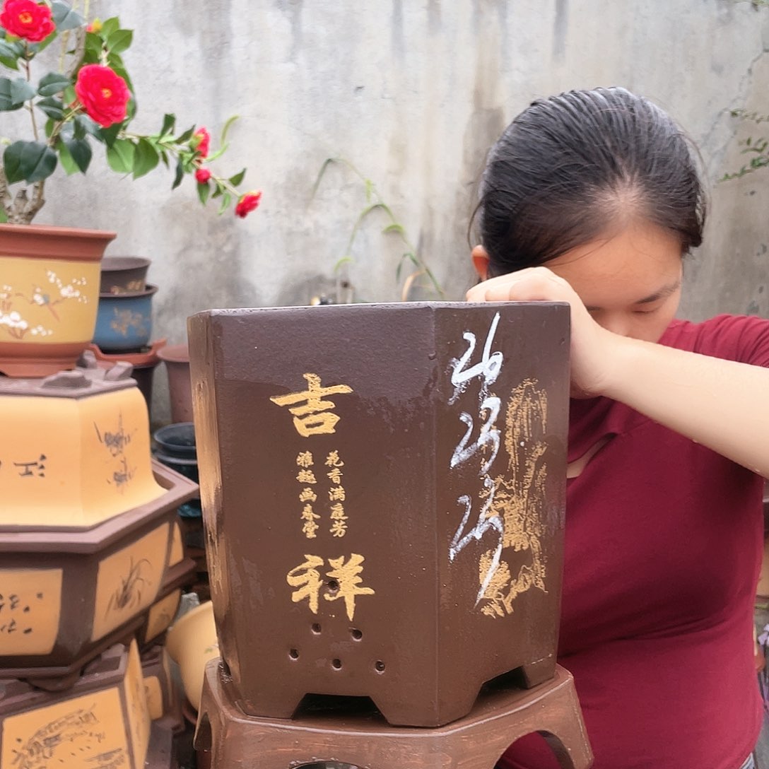 棕色如意六方大加托